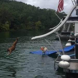 Meet your Posher, Katherine